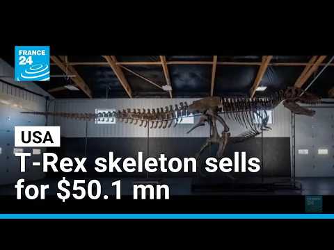 T. rex skeleton fetches record $50.1 mn at US auction • FRANCE 24 English