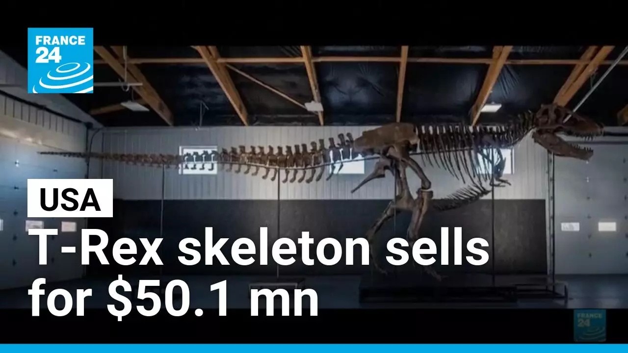 T. rex skeleton fetches record $50.1 mn at US auction • FRANCE 24 English