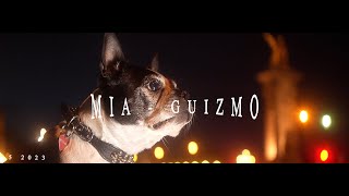 Mia & Guismo Paris Louvres by Neotuxedo LEE 118 views 11 months ago 1 minute, 14 seconds