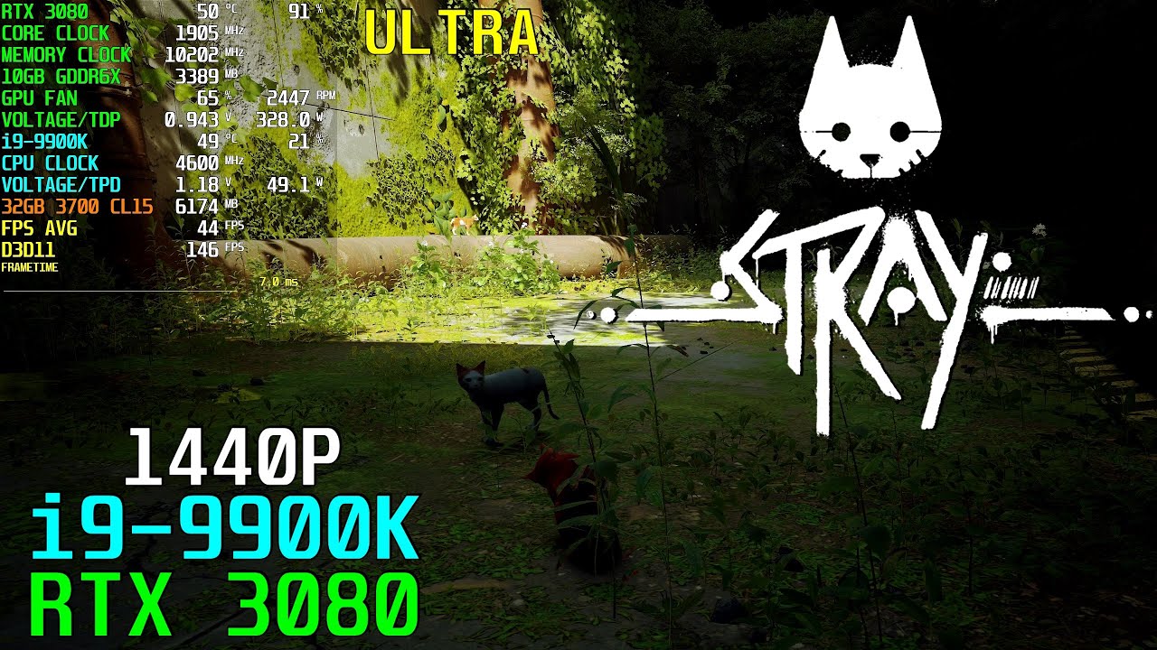 Stray: RTX 3080 OC & i9-9900K | 1440P