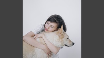 Modish Backdrops for Separation Anxiety