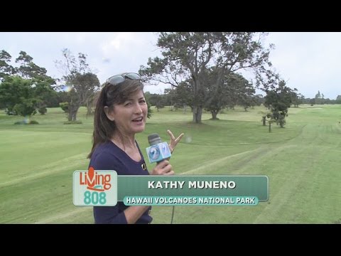 Living808 - Volcano Golf &amp; Country Club