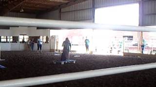 4-H Fair Agility