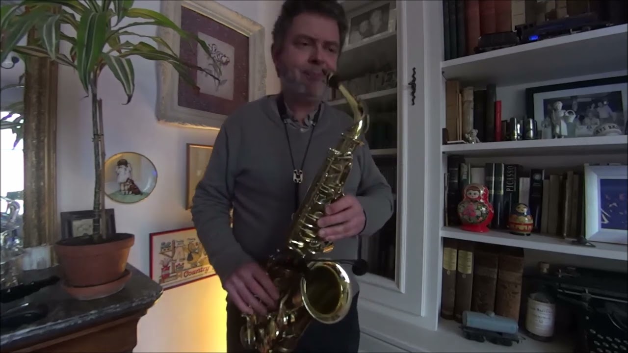 Dirty Dancing - (I've Had) The Time of My Life - Saxophone Alto Cover