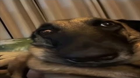 Scrapped Old Animations (Dump)