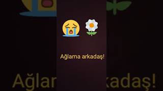 Ağlama arkadaş!