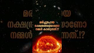 മരിച്ചുപോയ നക്ഷത്രങ്ങളെയാണോ നമ്മൾ കാണുന്നത്? | Space Facts Malayalam #shorts #stars #spacefacts