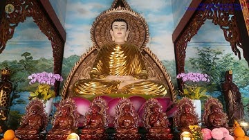 Mỗi tuần một cảnh chùa #181 Chùa Hưng Phước, Quận 3 (cũ), HCM, 08/11/2025