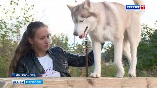 В Йошкар-Оле 90 школьников прошли курсы кинологии в Центре служебного собаководства В Йошкар-Оле 90 школьников прошли курсы кинологии в Центре служебного собаководства