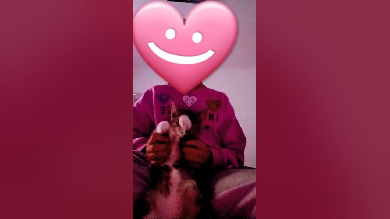 my-cat-is-so-cute-ca-youtube