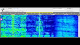 01 09 2021 Radio Iran International In Farsi To Weas 1559 On 9929 9V Tashkent
