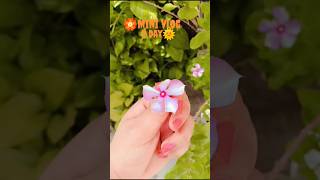 2 day🌞 mini vlog 🏵️#minicamera #minivlogger #vlogsquad