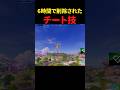 運営が6時間で消したチート技がやばすぎるwww#フォートナイト #fortnite #プチ知識 #フォトナ