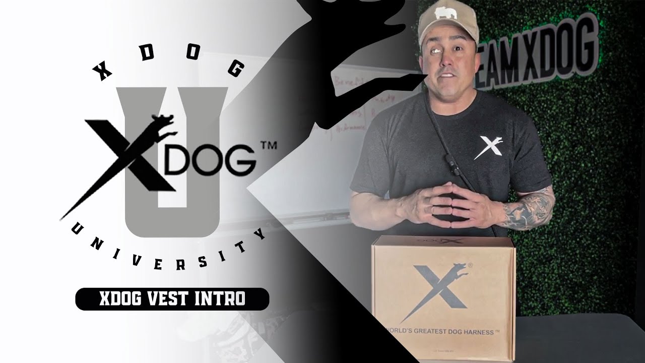 XDOG University : The Introduction to your XDOG Vest