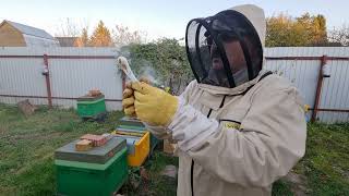 🔴 Термообработка пчёл от клеща Варроа Деструктор. Видео по пчеловодству для начинающих 2022 🔴