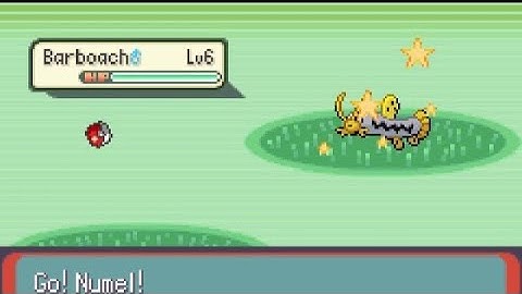 SHINY BARBOACH CAUGHT