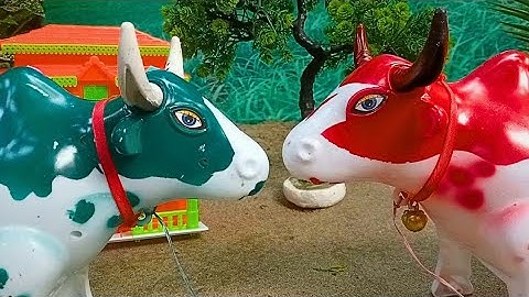 WADIDAU ‼️PROSES POTONG SAPI KURBAN #232