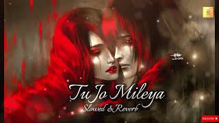 JUSS - Tu Jo Mileya (Slowed & Reverb) MixSingh | New Punjabi Romantic Song 2024| 🎶🎧