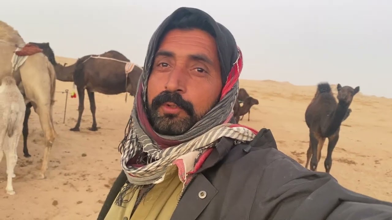 Went to the camal kafiel is seal Ghulam Onton walk