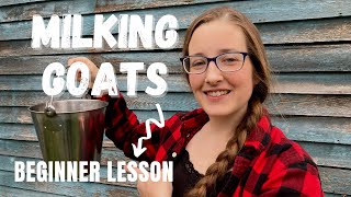 Beginner Goat Milking Routine | How to Milk, Process, and Use Your Goat Milk!