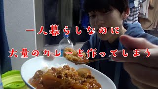一人で大量のハヤシライスを食べ尽くした【料理vlog】