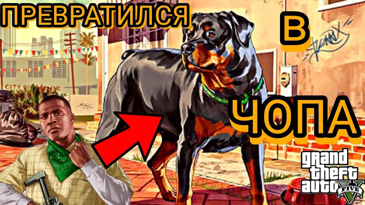 ПРОХОЖДЕНИЕ ГТА 5 #3 ФРАНКЛИН ПРЕВРАТИЛСЯ В ЧОПА, СОБАКУ ЛОМАРА ...