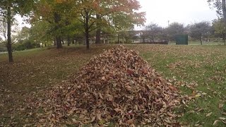 Want To Jump In A Leaf Pile? This Simulator Is Here To Help