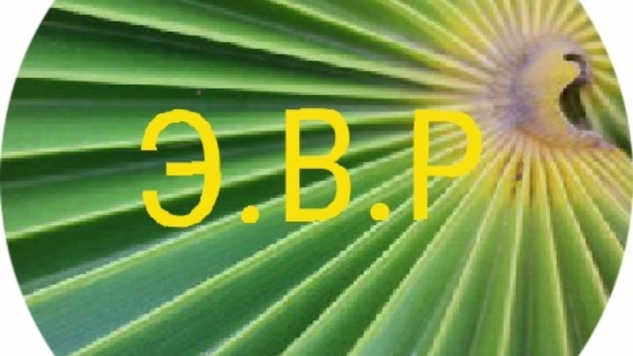 Банан японский.Укрывать или нет??? в чем разница??? - YouTube