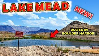 Lake Mead INCREDIBLE Before and After  | Hurricane Hilary, The Linq FLOODING Las Vegas & MORE!