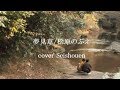 夢見草/松原のぶえ(cover Seishouen)