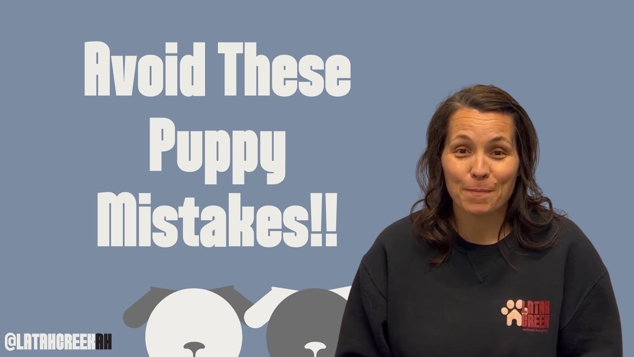 Why Puppy’s First Vet Visit Matters! Don’t Do These 5 Things!