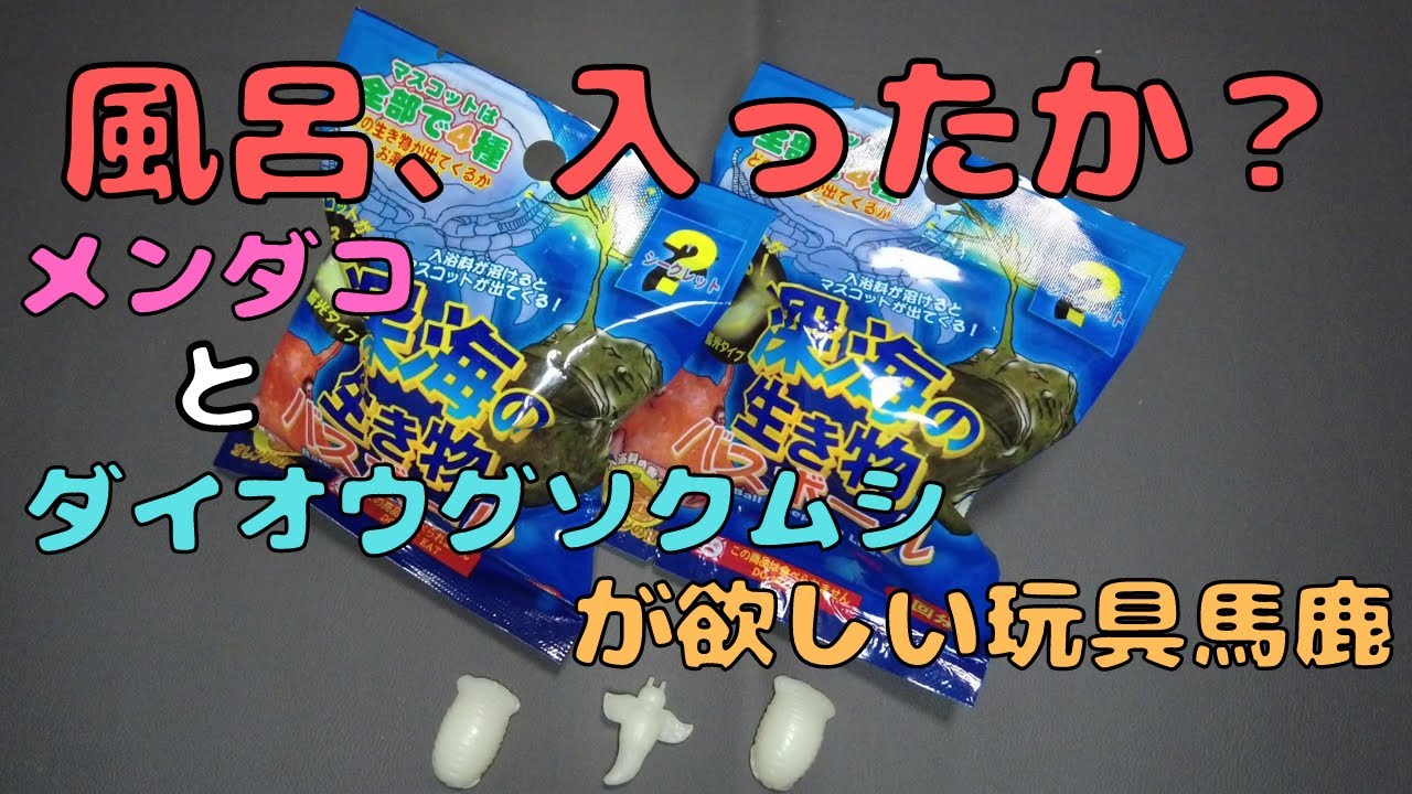 深海生物バスボール どうしてもメンダコが欲しい リベンジするぞ Youtube
