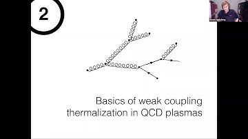 Non-equilibrium QCD in heavy ion collisions - Soeren Schlichting