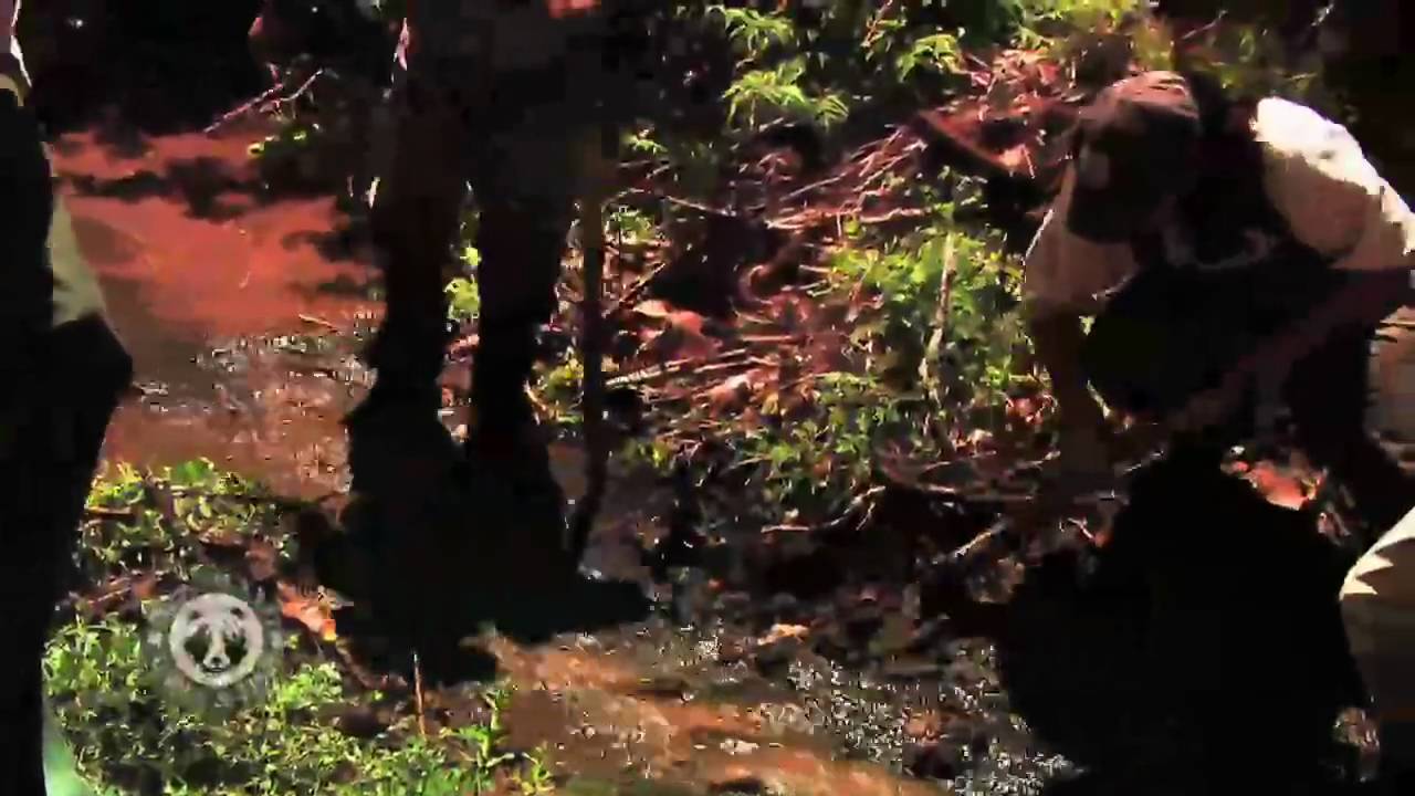 wildlife konusu The Zuni Bluehead Sucker