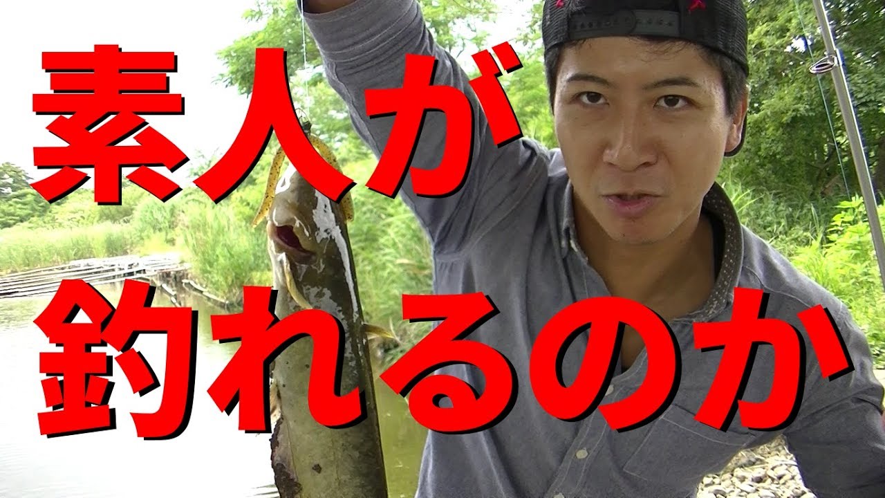 最高都内 ブラック バス すべての魚の画像