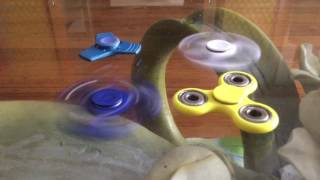 Which spinner will win?