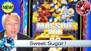 UnWooly Riches Sugar Slot Machine Nice Bonus