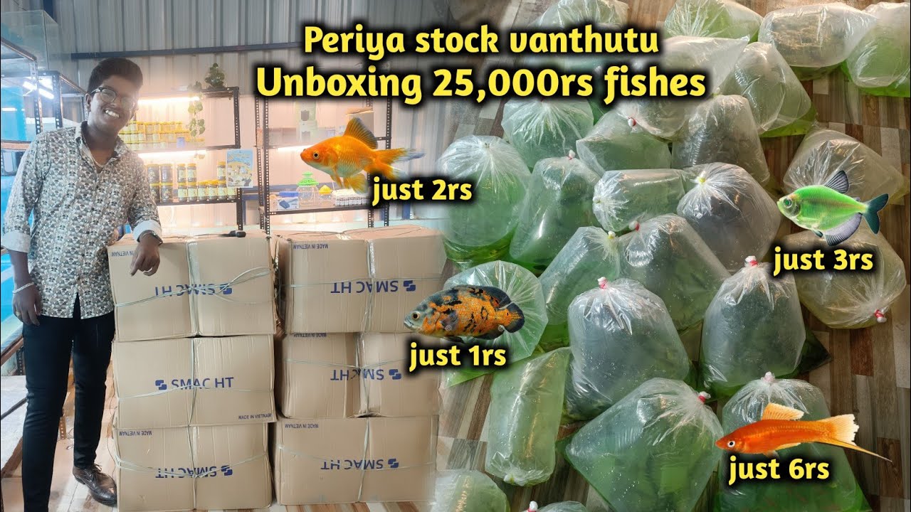 Tirunelveli fish lover's don't miss the chance 😳 2rs ku colour fish