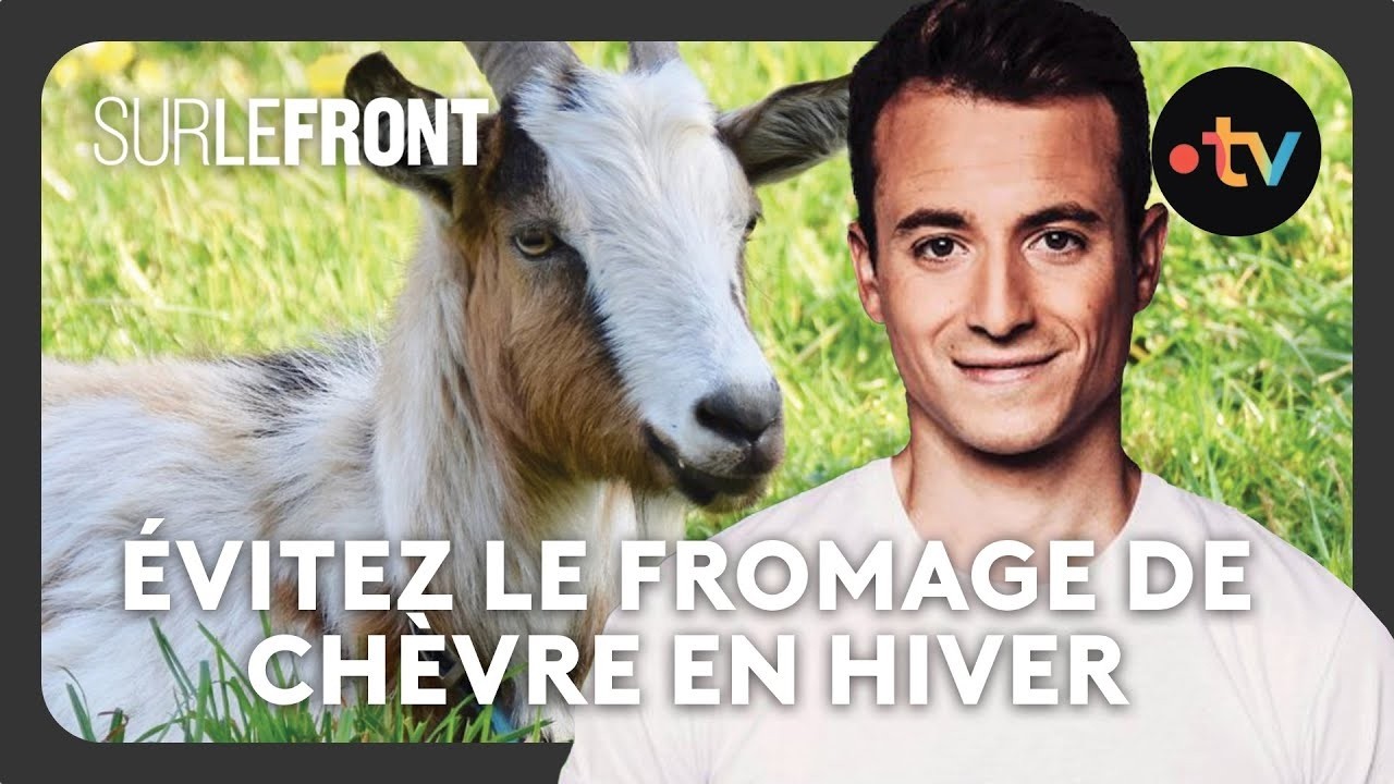 Pourquoi faut-il éviter le fromage de chèvre en hiver ? - Sur le front avec Hugo Clément