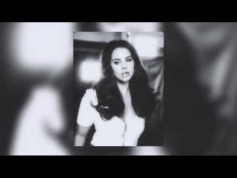 Lolita | sped