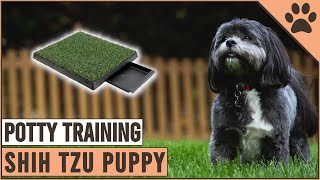 Secret Tips On How To Potty Train A Shih Tzu Puppy | Dog World