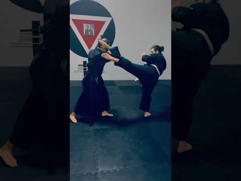 Aikido Kickboxing Martial