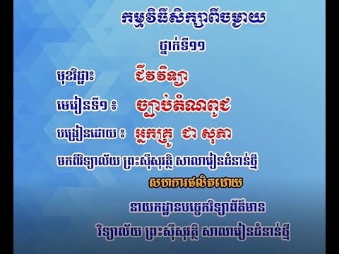 1 ជីវវិទ្យា ថ្នាក់ទី១១ ជំពូក៣  តំណពូជ មេរៀនទី១ ច្បាប់តំណពូជ ១ ការងាររបស់ម៉ង់ដែល​១ ១ប្រវត្តិរបស់ម៉ង់ដ