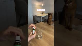 Да у неё ребёнок спокойный, поэтому спит всю ночь…» — говорят подруги