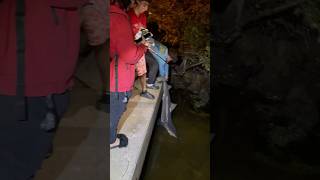 Kissing A Shark Gone Wrong - Shark Fishing Catch And Cook
