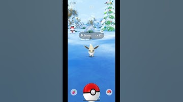 I tried to catch a Shiny eevee in Pokémon go #pokemongo