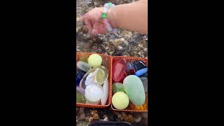 🐨 Live Stream 🐨 2026-07-26 18:09:05