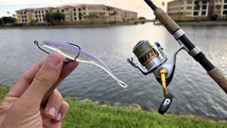 The Only Lure You Will Ever Need (Seriously.)