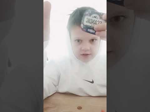 dotbig investments