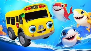 Baby Shark Doo Doo Doo | Baby Shark Sing and Dacnce with 3D Cars | More Nursery Rhymes - Baby Cars
